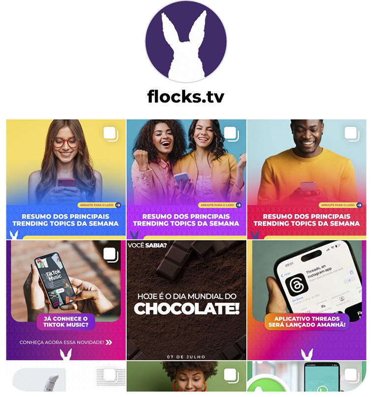 Screenshot do Instagram da Flocks
